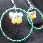 Green hoops and Yellow Butt..