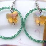 Green hoops and Yellow Butt..