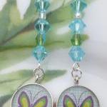 Blue and Green Butterfly ea..