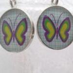 Blue and Green Butterfly ea..