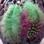 Bright Green and Hot Pink f..