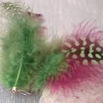 Bright Green and Hot Pink f..